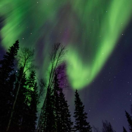 Riverside Log Cabin On-Site Aurora Viewing! North Pole Dış mekan fotoğraf