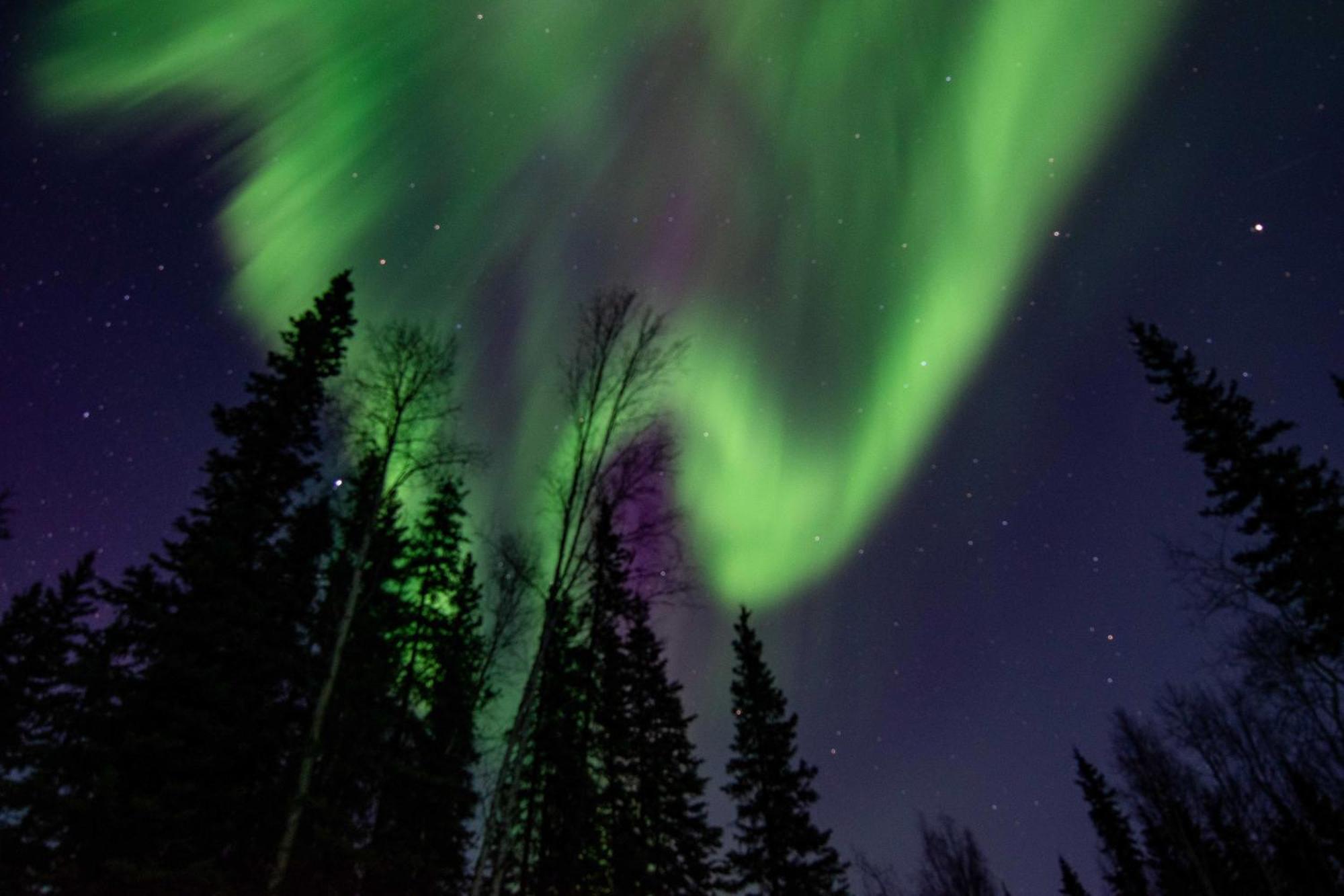 Riverside Log Cabin On-Site Aurora Viewing! North Pole Dış mekan fotoğraf
