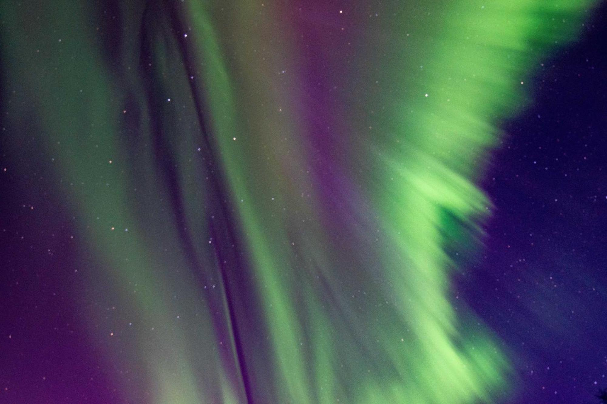 Riverside Log Cabin On-Site Aurora Viewing! North Pole Dış mekan fotoğraf